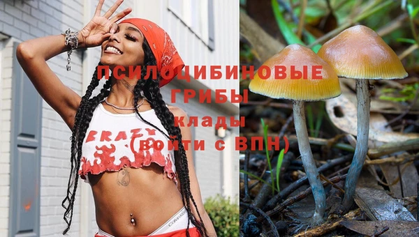 амф Краснослободск