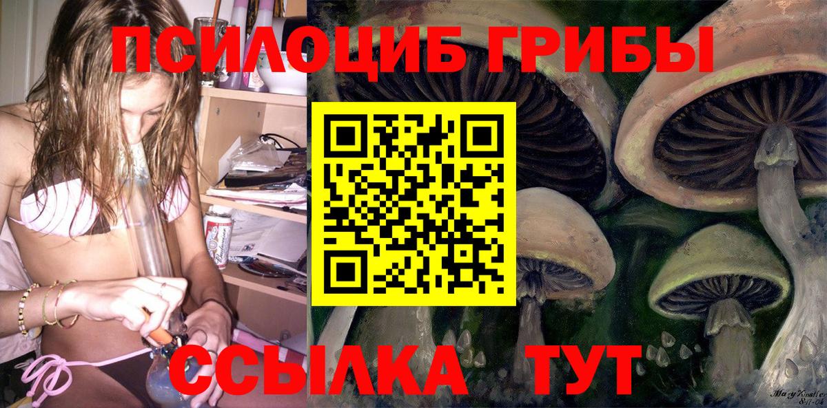 Псилоцибиновые грибы Psilocybine cubensis Тихорецк
